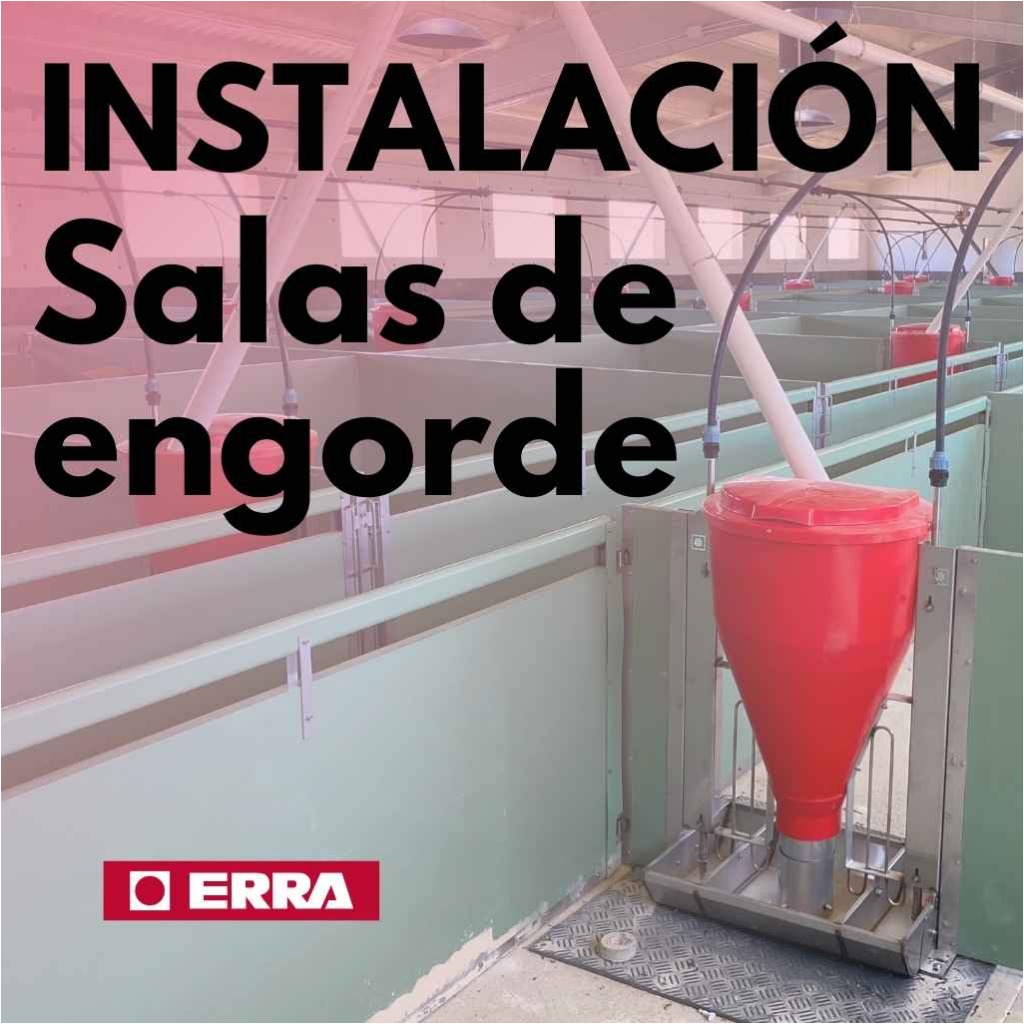 Instalações de engorda ERRA