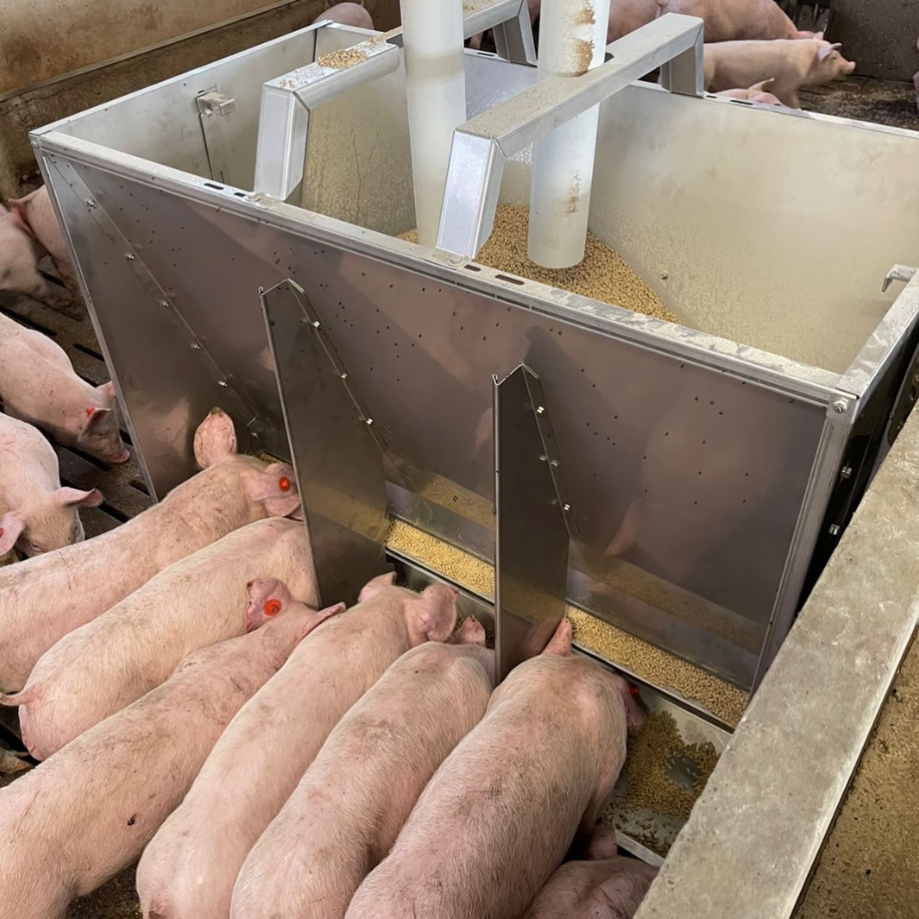 Funil Exafan Poseidon em aço inoxidável