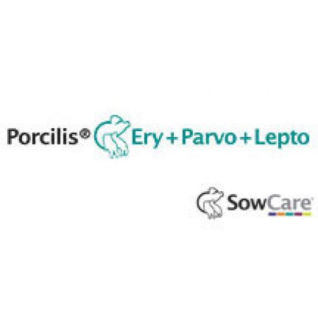 SowCare: Porcilis<sup>®</sup> Ery+Parvo+Lepto
