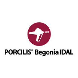 Porcilis® Begonia IDAL