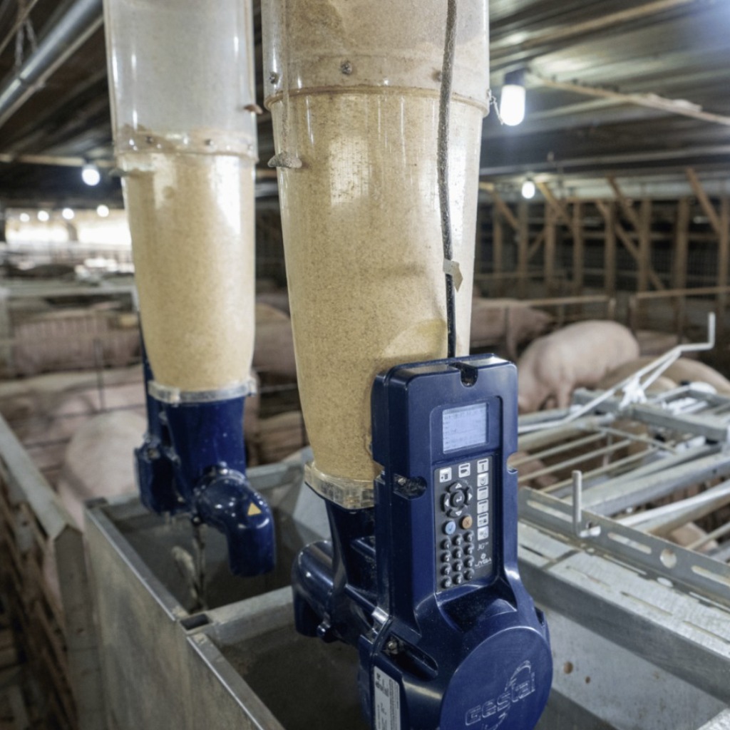 佳饲达3G 针对群养母猪的智能化饲喂系统