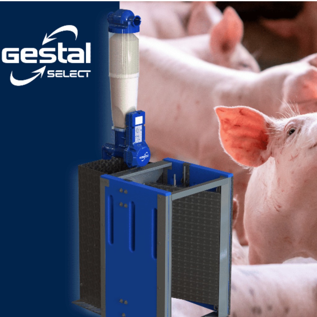 GESTAL Select