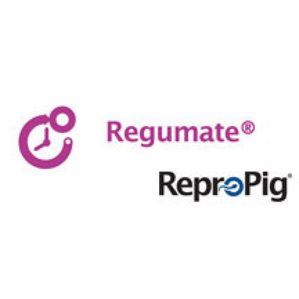 ReproPig: Regumate<sup>&reg;</sup> 