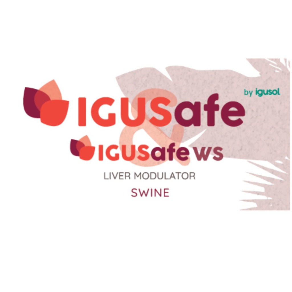 IGUSAFE 