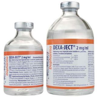 Dexa-ject® 2 mg/ml