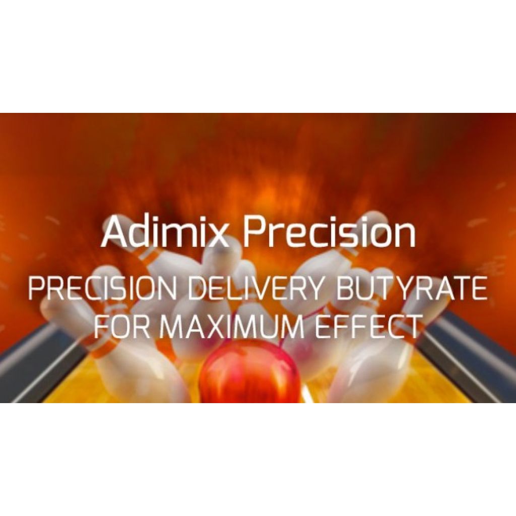  Adimix Precision