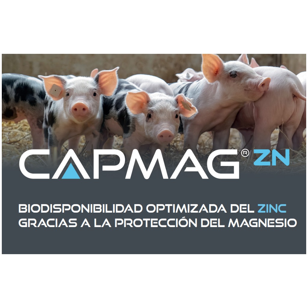 CAPMAG® Zn