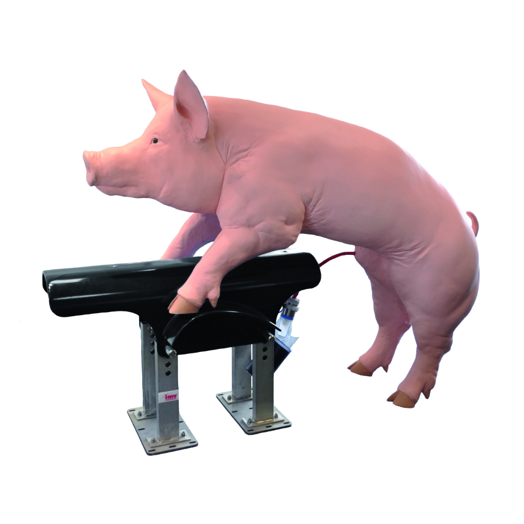 Collectis – Boar Semen Collection System