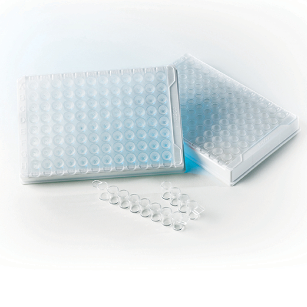 Easy Kit Mitochondrial Activity – Sperm Mitochondrial Activity Test Kit
