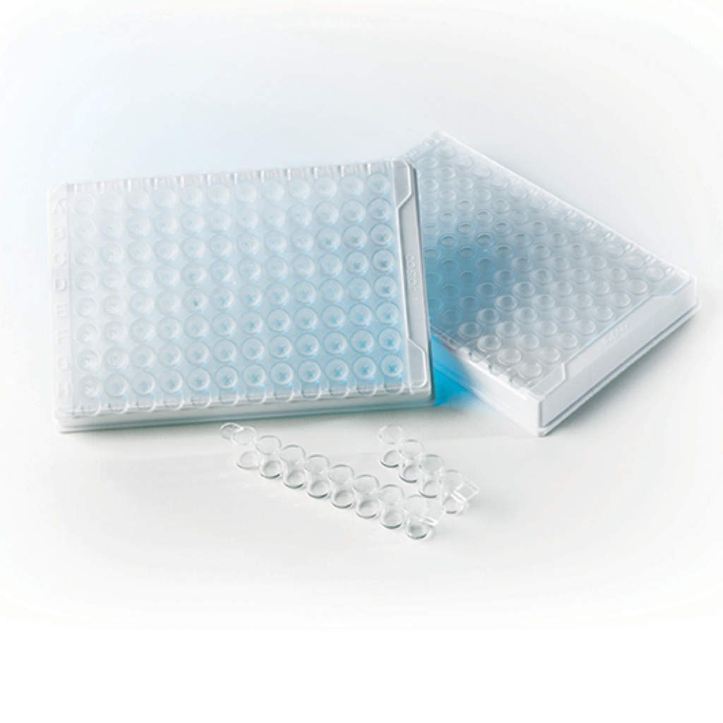 Easy Kit Viability and Concentration – Sperm Viability and Concentration Test Kit