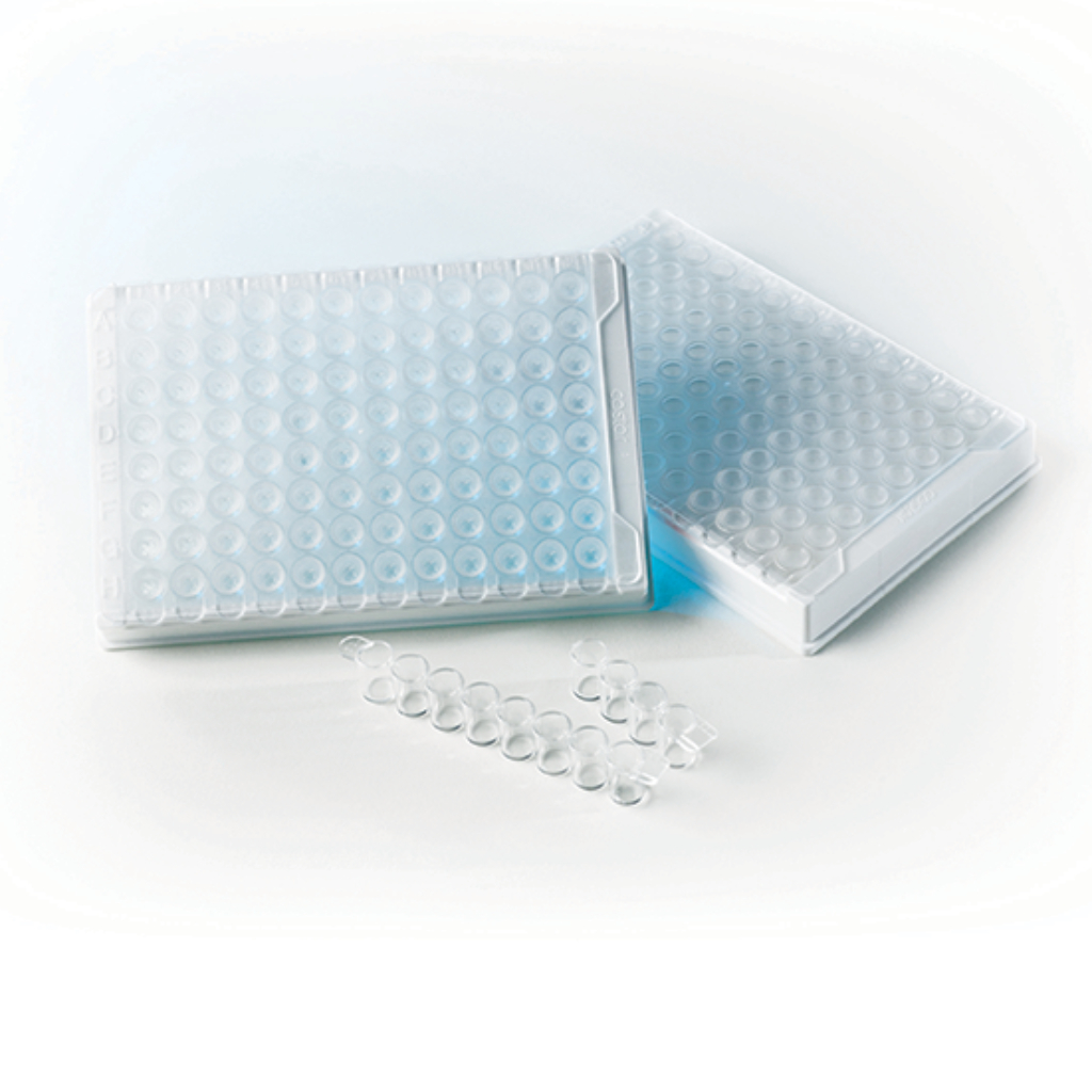 Easy Kit Molecule D Oxidation – Oxidative Stress Test Kit