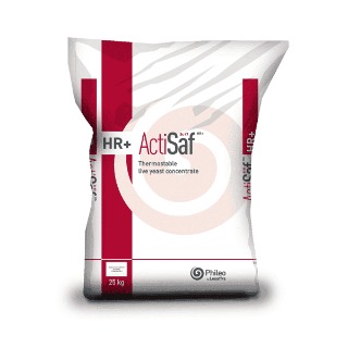 Actisaf® Sc 47