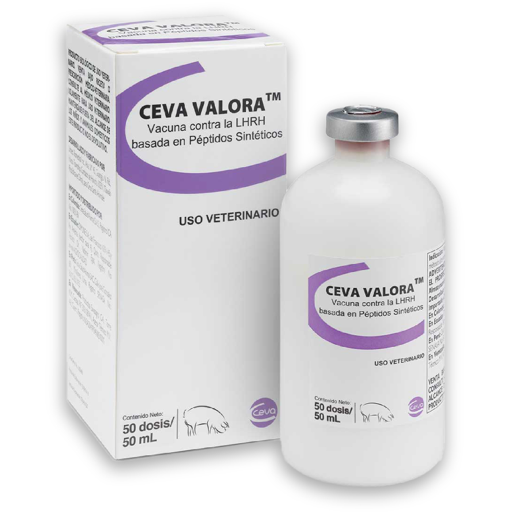 Valora