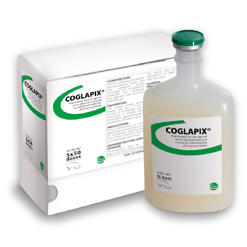 Coglapix