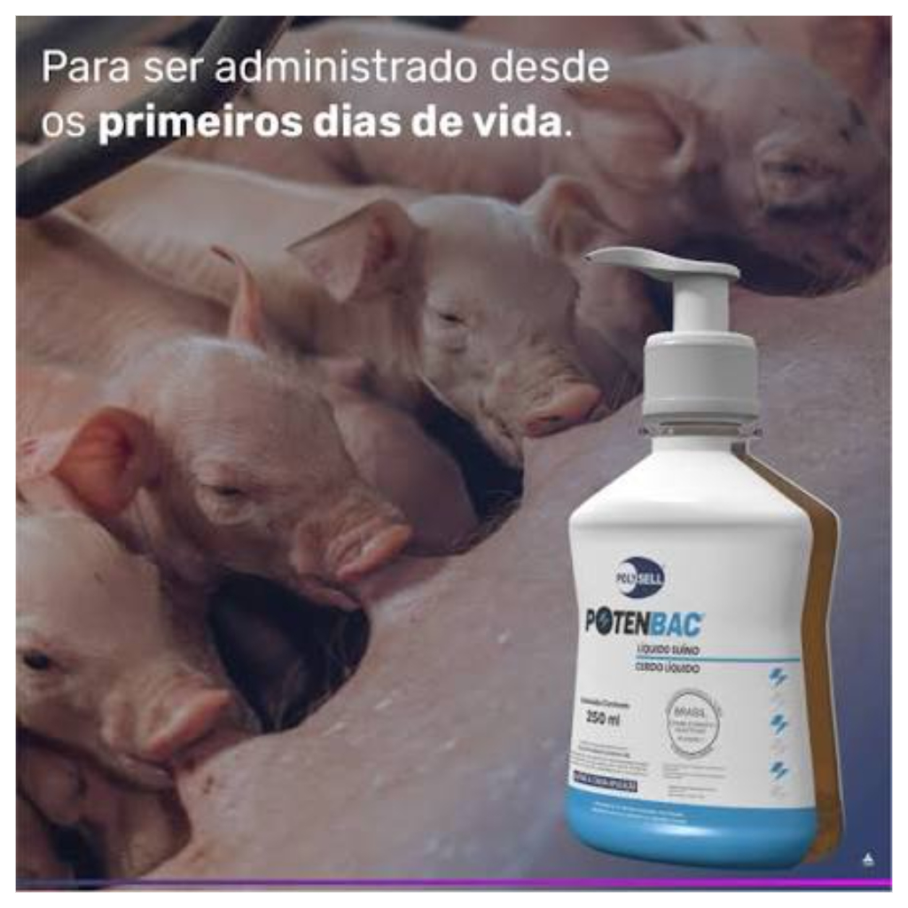 POTENBAC® Líquido Suíno