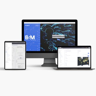 BSM – Boar Stud Manager
