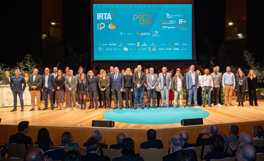 Nominados 4a categoria