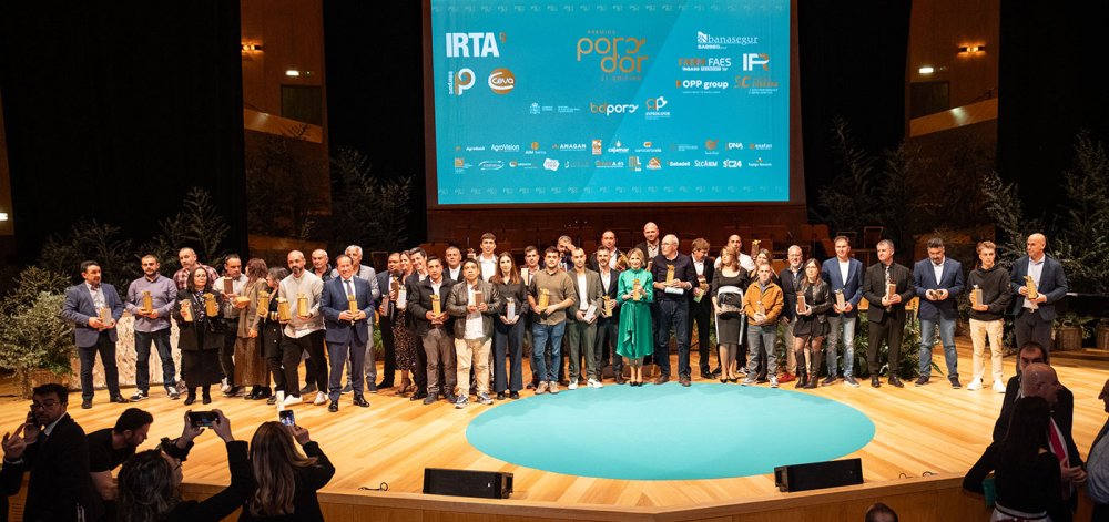Premios a los ganadores