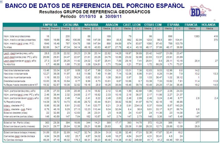 Informe BDporc