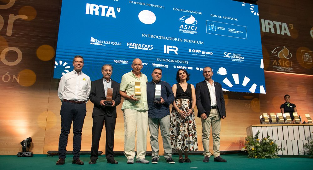 1ª Categoría LONGEVIDAD