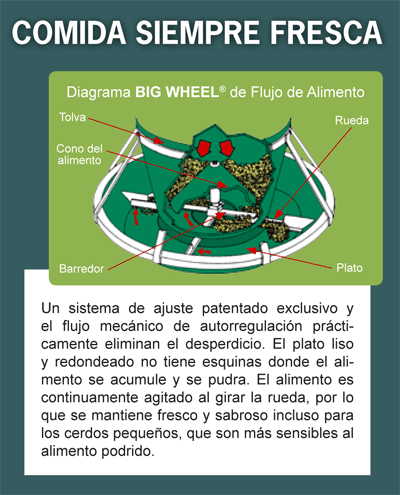 comida-siempres-fresca-osborne