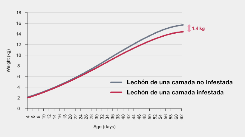Aliaga-Leyton et al. 2011. Isospora suis infection and its association with postweaning performance on three southwestern Ontario swine farms. Journal of Swine Health and Production 19(2):94-99.
