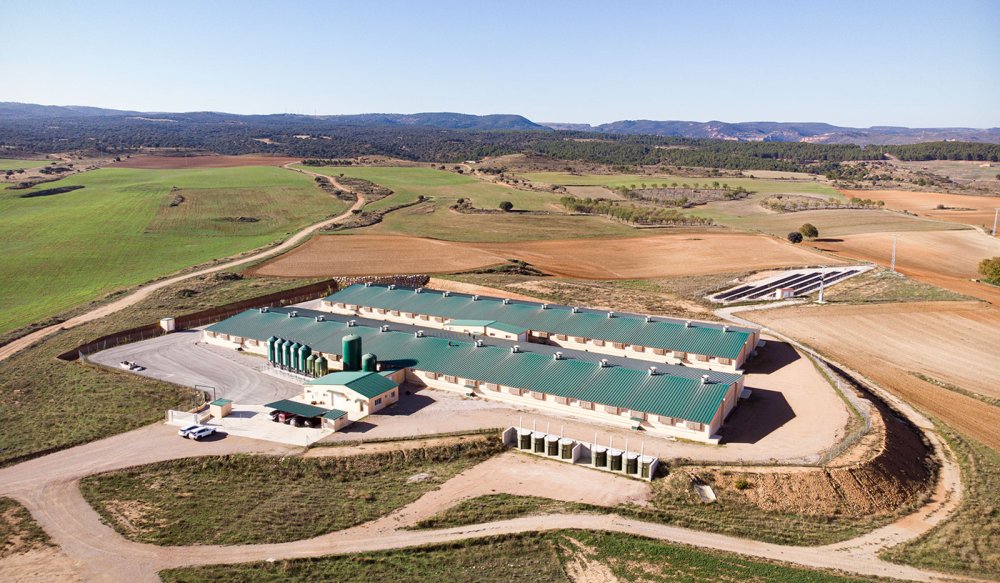 Granja en Arcos de Jalón