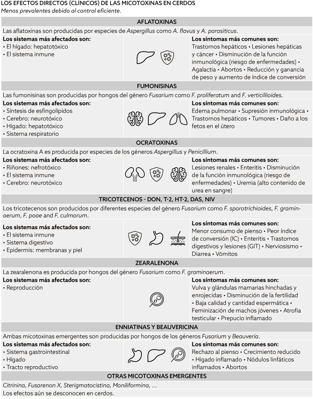 Mycotoxins in pigs_Los Efectos Directos