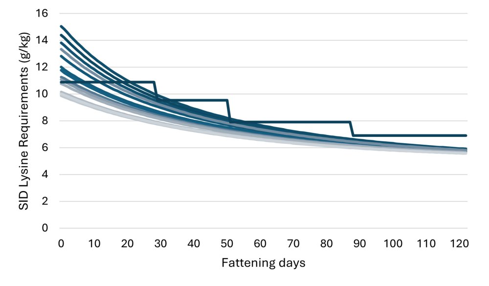 Hình 1. Minh họa nhu cầu lysine SID (g/kg) trong chuồng nuôi (đường thẳng) so với lượng lysine SID nhận được từ chương trình cho ăn bốn giai đoạn truyền thống.