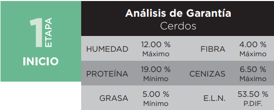 hi o turbo alimento iniciador