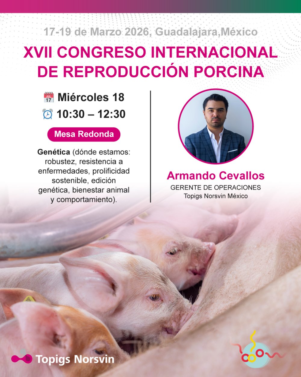 XVII Congreso Internacional de Reproducción Porcina