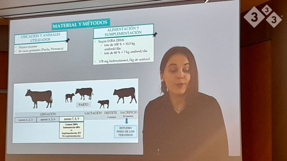 🥉 Dominika Dabrowska