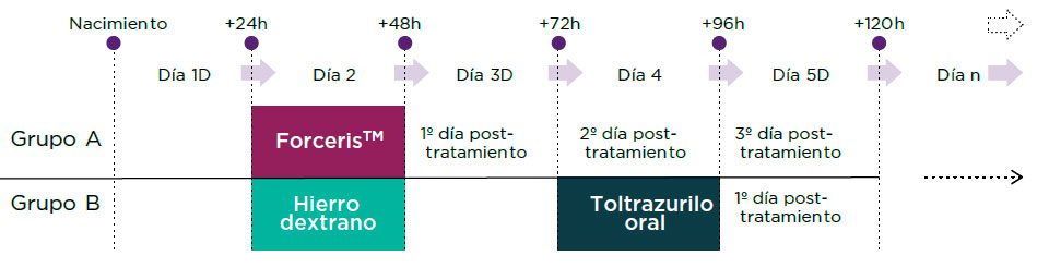 Figura 1. Diseño del estudio
