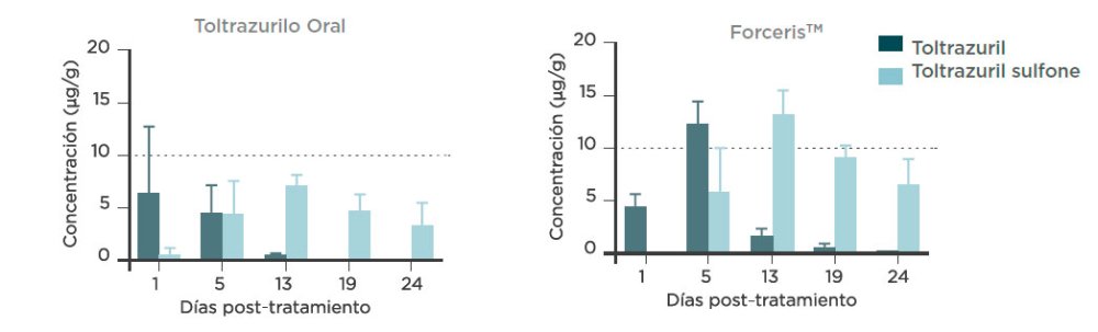 Figura 3. Concentraciones (media + DE) de totaltruzrilo y toltrazurilo sulfona en el yeyuno tras la adminsitración de una sola dosis de ForcerisTM o Baycox 5% a lechones
