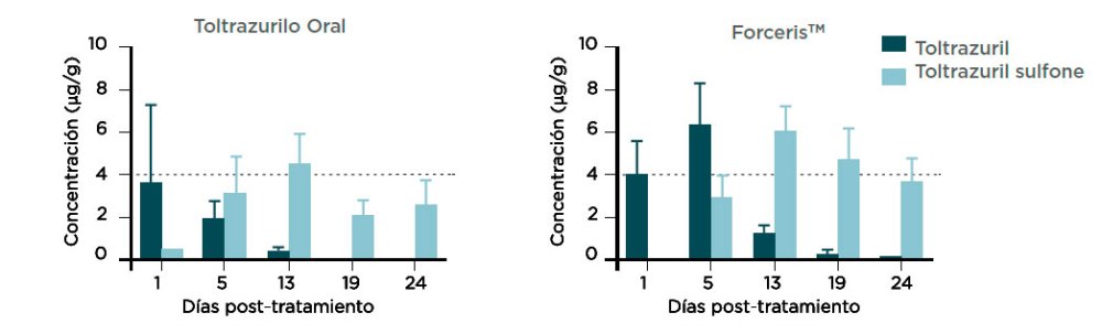 Figura 4. Concentraciones (media + DE) de toltrazurilo y de toltrazurilo sufona en el ileum (mezcla) tras la adminsitración a de una sola dosis de ForcerisTM o Baycox 5% a lechones.