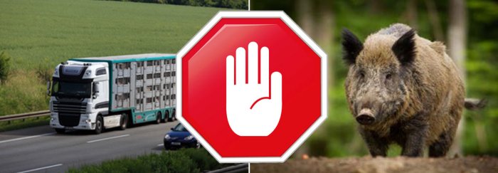 Bioseguridad frente a M. hyopneumoniae