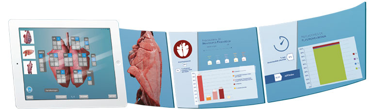 App Ceva lung program