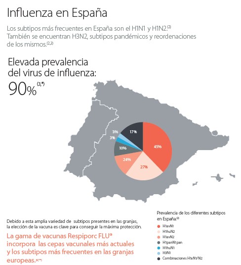 influenza en España