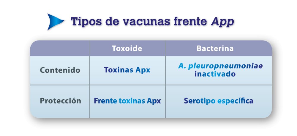Coglapix