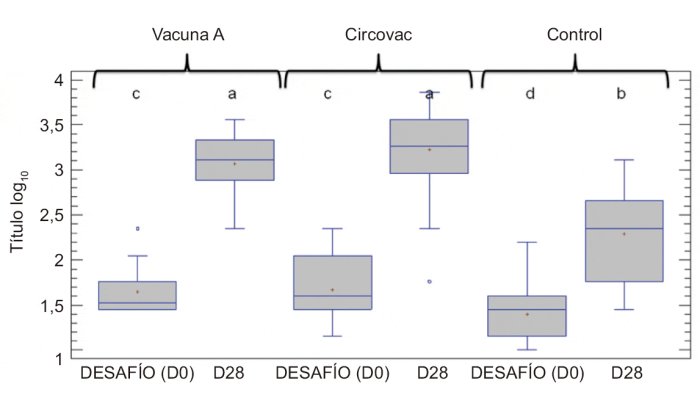 Fig. 1. Títulos de anticuerpos neutralizantes frente al PCV2 antes y después de la exposición experimental al virus