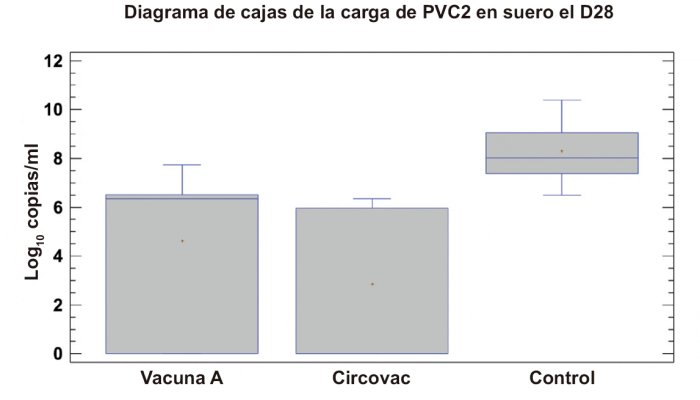 Fig. 3. Carga de PCV2 en suero el D28