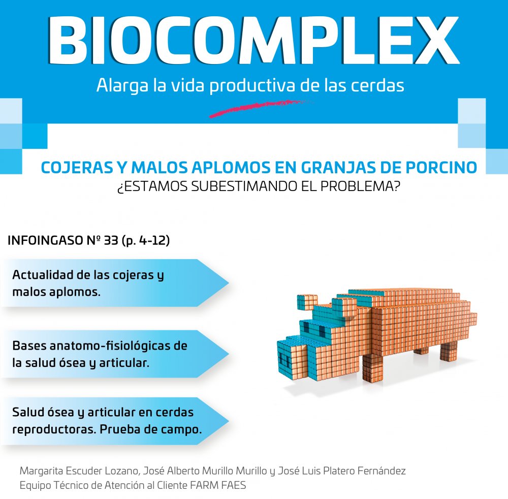 InfoIngaso Ingaso Biocomplex