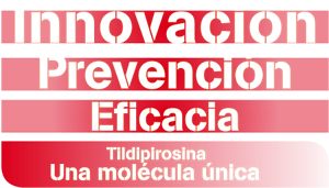 Innovacion, prevención, eficacia