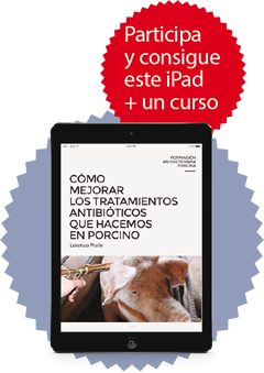 Participa y consigue este iPad + un curso