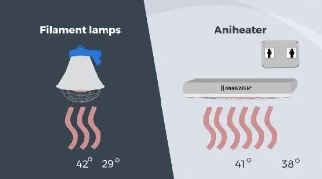 E' ora di rivedere come scaldi i tuoi suinetti. Aniheater offre un cal...
