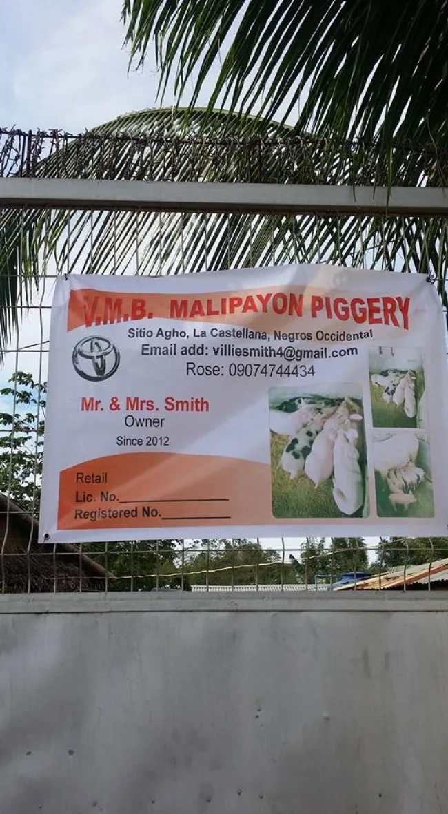 Piggery negros occidental. 