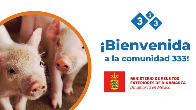 La Embajada de Dinamarca en México se une a la comunidad porcina de 333