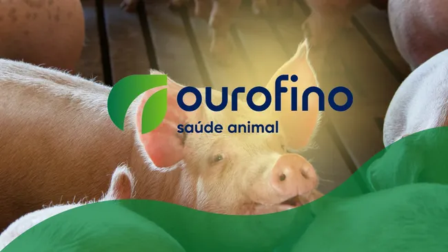 Ourofino em Campo: Práticas sustentáveis na produção animal