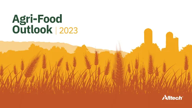 Resultados de su encuesta global sobre la producción de alimento balanceado