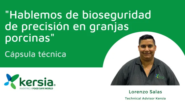 [Cápsula] Hablemos de bioseguridad de precisión en granjas porcinas